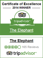 the elephant trip advisor
